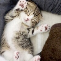 ✨本日もありがとうございました✨