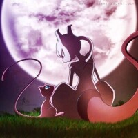 ありがとうございました🐈🐾