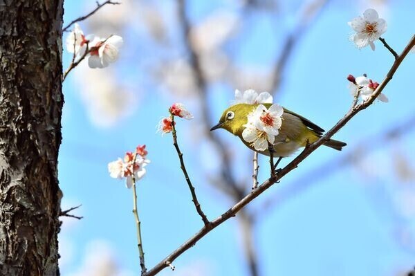 ✨出勤しました✨