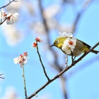 ✨出勤しました✨