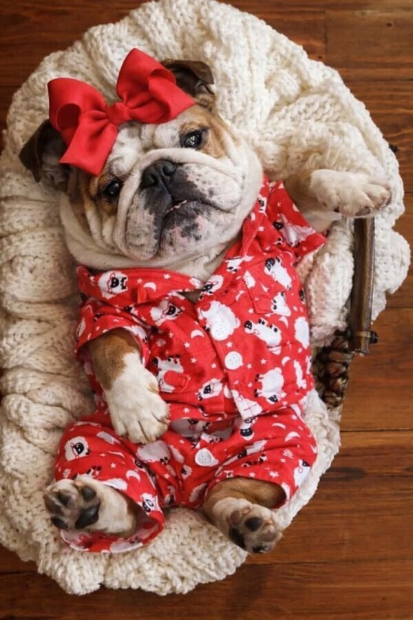 🎀復活しました🎀