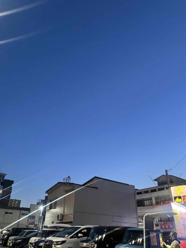 出勤しました💛