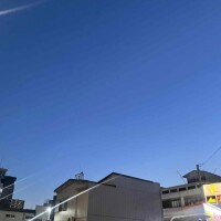 出勤しました💛