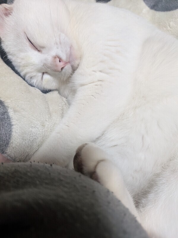 本日もお疲れ様です😊