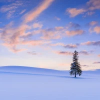 ✨おはようございます✨