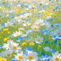 おはようございます☀️