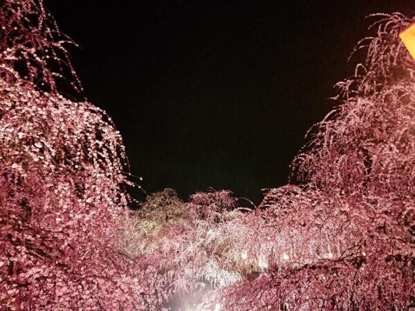 ✨本日もありがとうございました✨