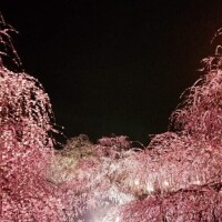 ✨本日もありがとうございました✨