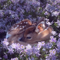 本日もありがとうございました