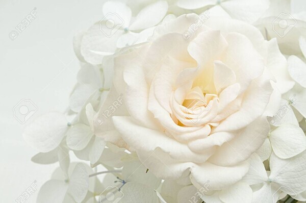 ありがとうございました♥️