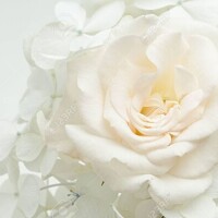 ありがとうございました♥️