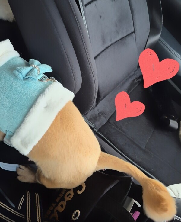 ✨🪷2月28日🪷✨