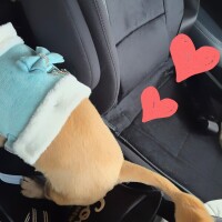 ✨🪷2月28日🪷✨