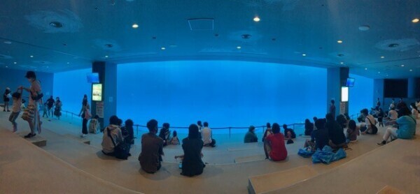 水族館のアイドル