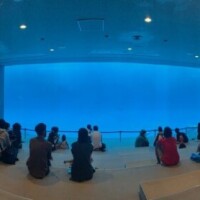 水族館のアイドル