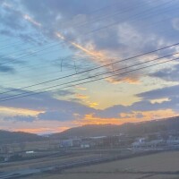 おはようございます〜☀️