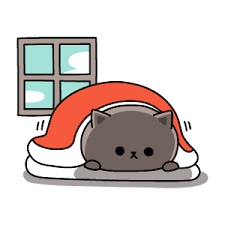 おはようございます☀