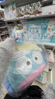 - ̗̀⏰ｇｏｏｄｍｏｒｎｉｎｇ📣  ̖́-