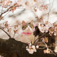 ✨出勤しました✨