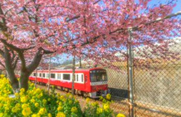 京急線に乗って🚃