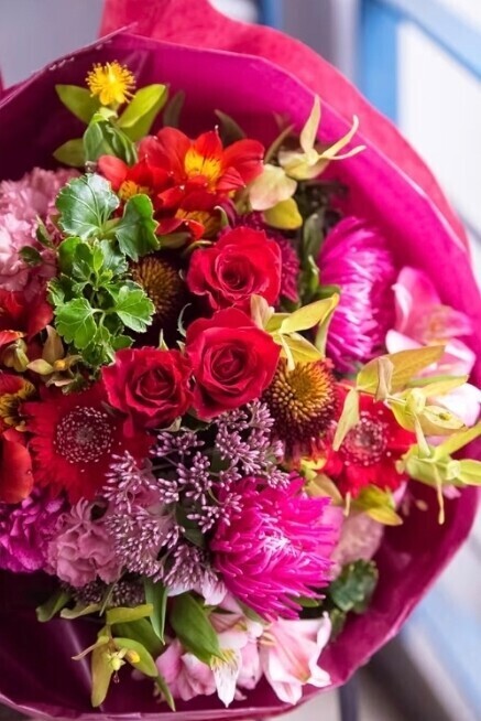 ✨🪷3月5日🪷✨