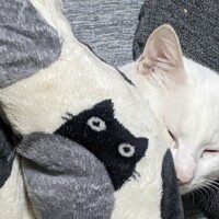 本日は少しゆっくりの出勤です。