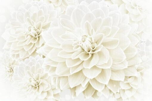 ありがとうございました♥️