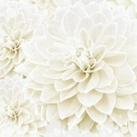 ありがとうございました♥️