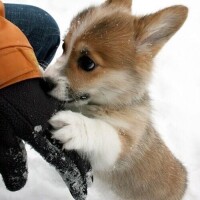 おはようございます☀️