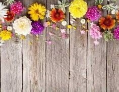 日曜日オヤツ手前から出勤です🤗