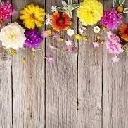 日曜日オヤツ手前から出勤です🤗