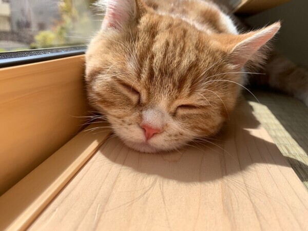 ✨出勤しました✨