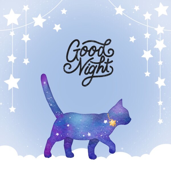 おやすみなさい⭐