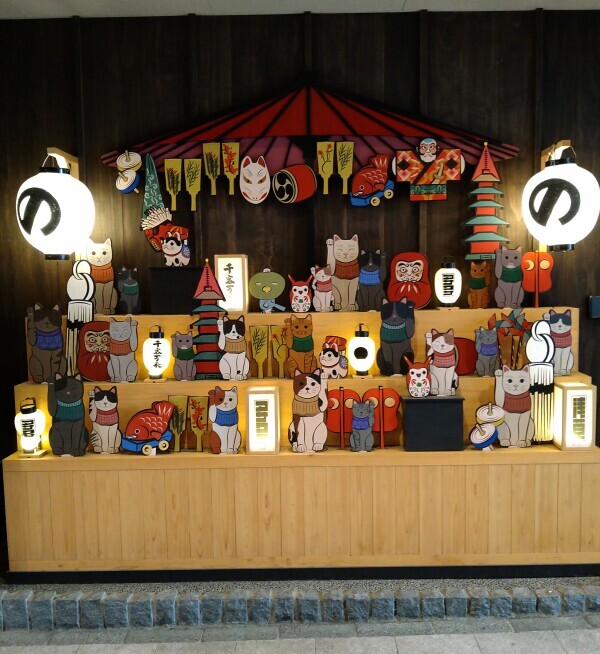 おやすみなさい😴