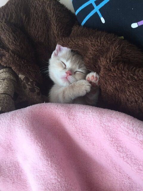 ✨本日お休みをいただいております✨