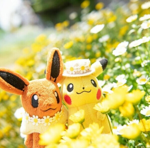 出勤しました☔