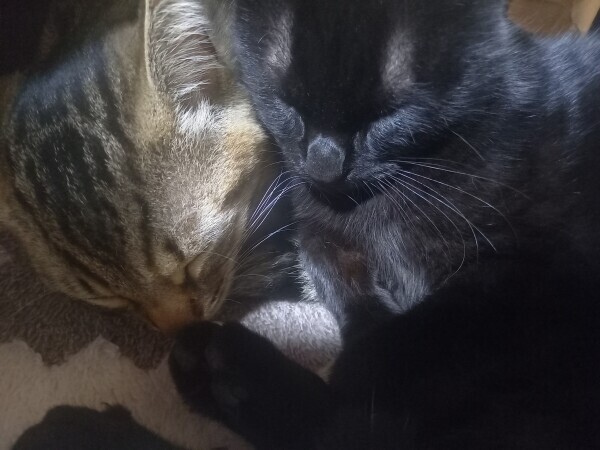 お休み1日目🥶