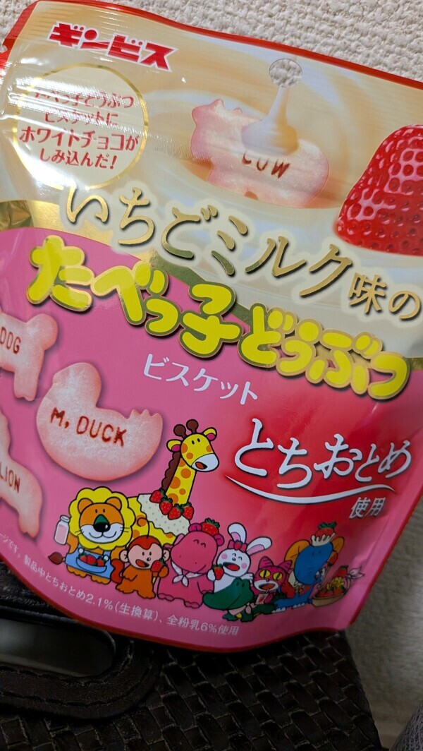 ありがとうございました🐱