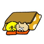 ᴳᴼᴼᴰ ᴹᴼᴿᴺᴵᴺᴳ☀︎.°