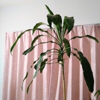 行って来ます🚘