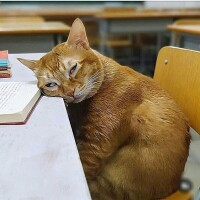 お休み2日目😹