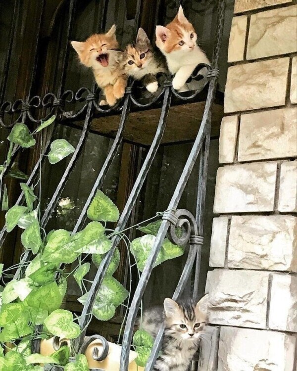 出勤しました☀️