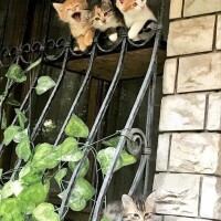 出勤しました☀️