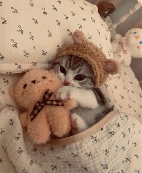 ありがとうございました🍓