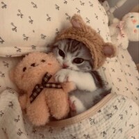 ありがとうございました🍓