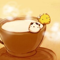 ✨おはようございます✨