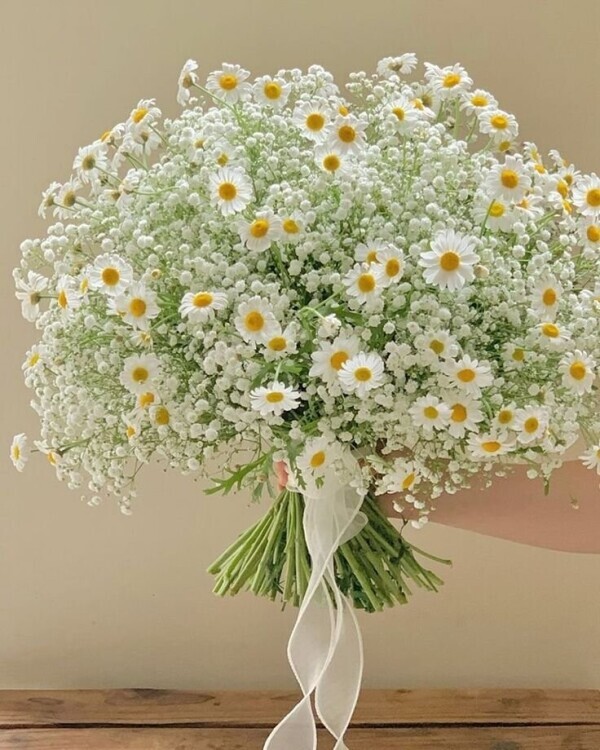 本日お休みです