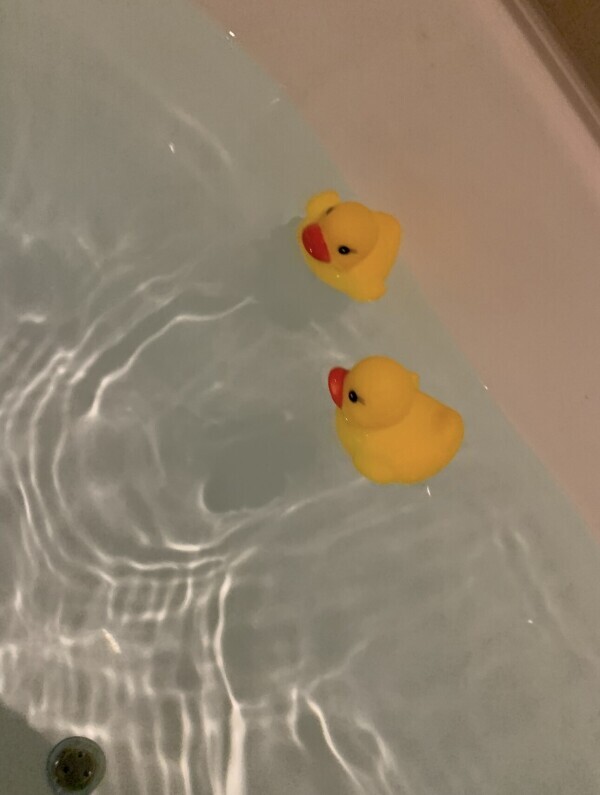 おやすみです🫧