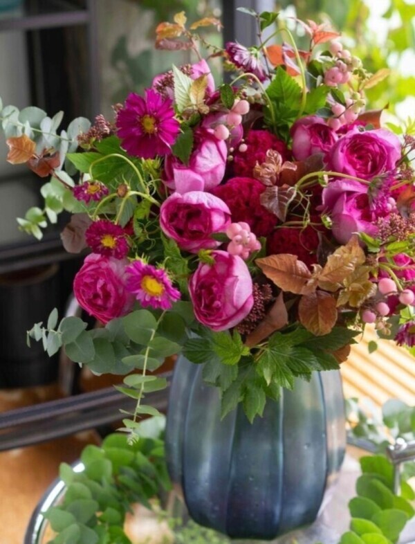 ✨🪷3月12日🪷✨