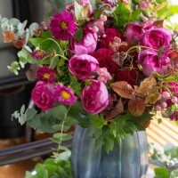 ✨🪷3月12日🪷✨